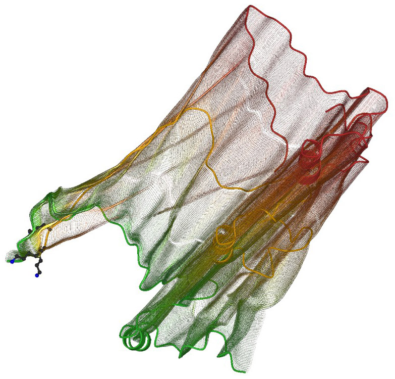 WASP dynamics